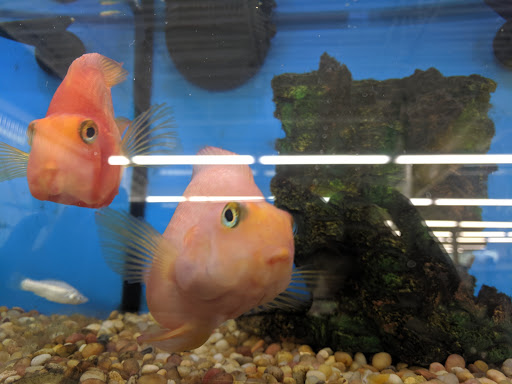 Pet Supply Store «Pet Supplies Plus», reviews and photos, 1240 Seminole Trail, Charlottesville, VA 22901, USA