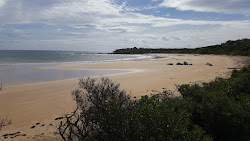 Zdjęcie Coles Beach z przestronna zatoka