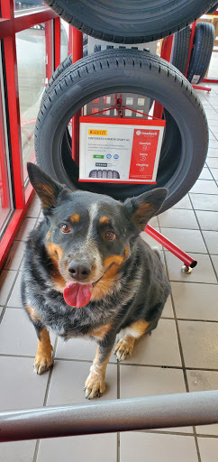 Tire Shop «Discount Tire Store - Woodhaven, MI», reviews and photos, 22160 Allen Rd, Woodhaven, MI 48183, USA