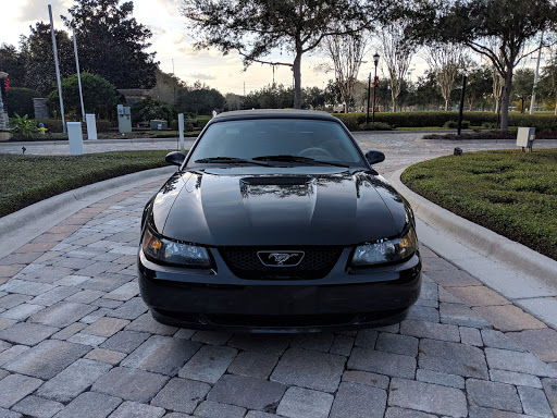 Used Car Dealer «M & M And Sons Auto Sales», reviews and photos, 17604 US-41, Lutz, FL 33549, USA