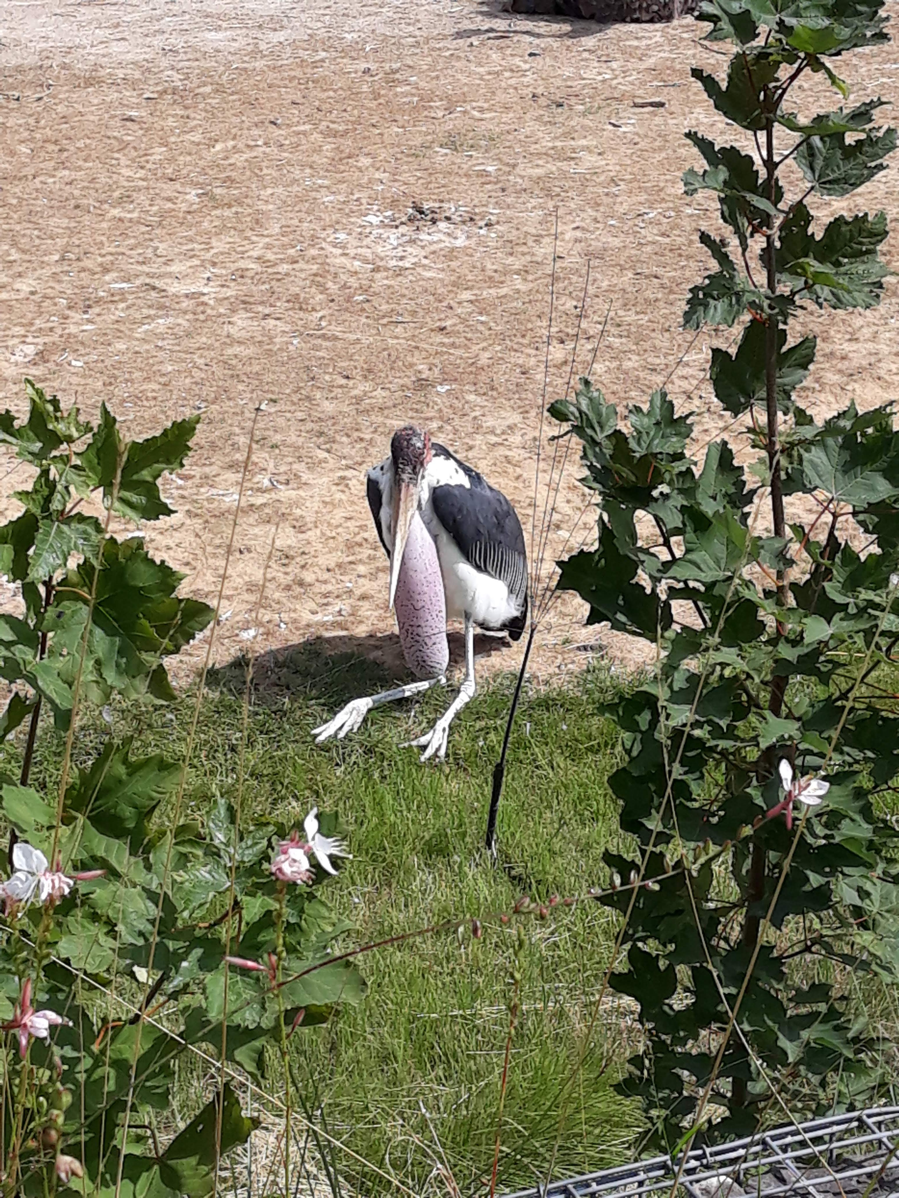 Photo n° 27 de l'avis de Ludo.a fait le 30/08/2021 à 17:15