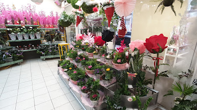 Rapid'Flore à Noisy-le-Sec