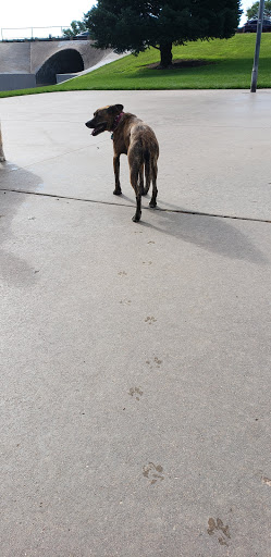 Park «Village Green Park», reviews and photos, 3590 N Carefree Cir, Colorado Springs, CO 80917, USA