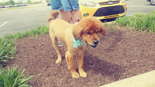 Pet Supply Store «Petco Animal Supplies», reviews and photos, 217 Oak Lee Dr #16, Ranson, WV 25438, USA