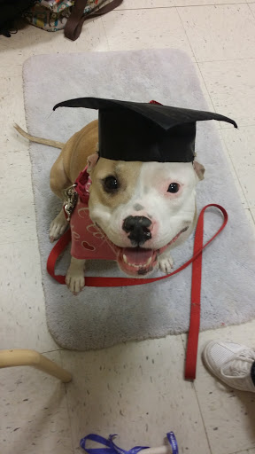 Pet Supply Store «PetSmart», reviews and photos, 1705 N Bechtle Ave, Springfield, OH 45504, USA