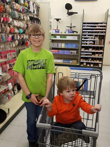 Craft Store «Hobby Lobby», reviews and photos, 2121 Kimberly Rd, Bettendorf, IA 52722, USA