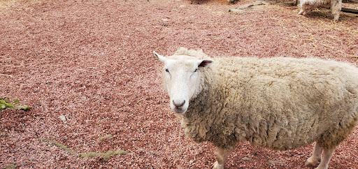 Museum «Atlanta History Center», reviews and photos, 130 West Paces Ferry Rd NW, Atlanta, GA 30305, USA