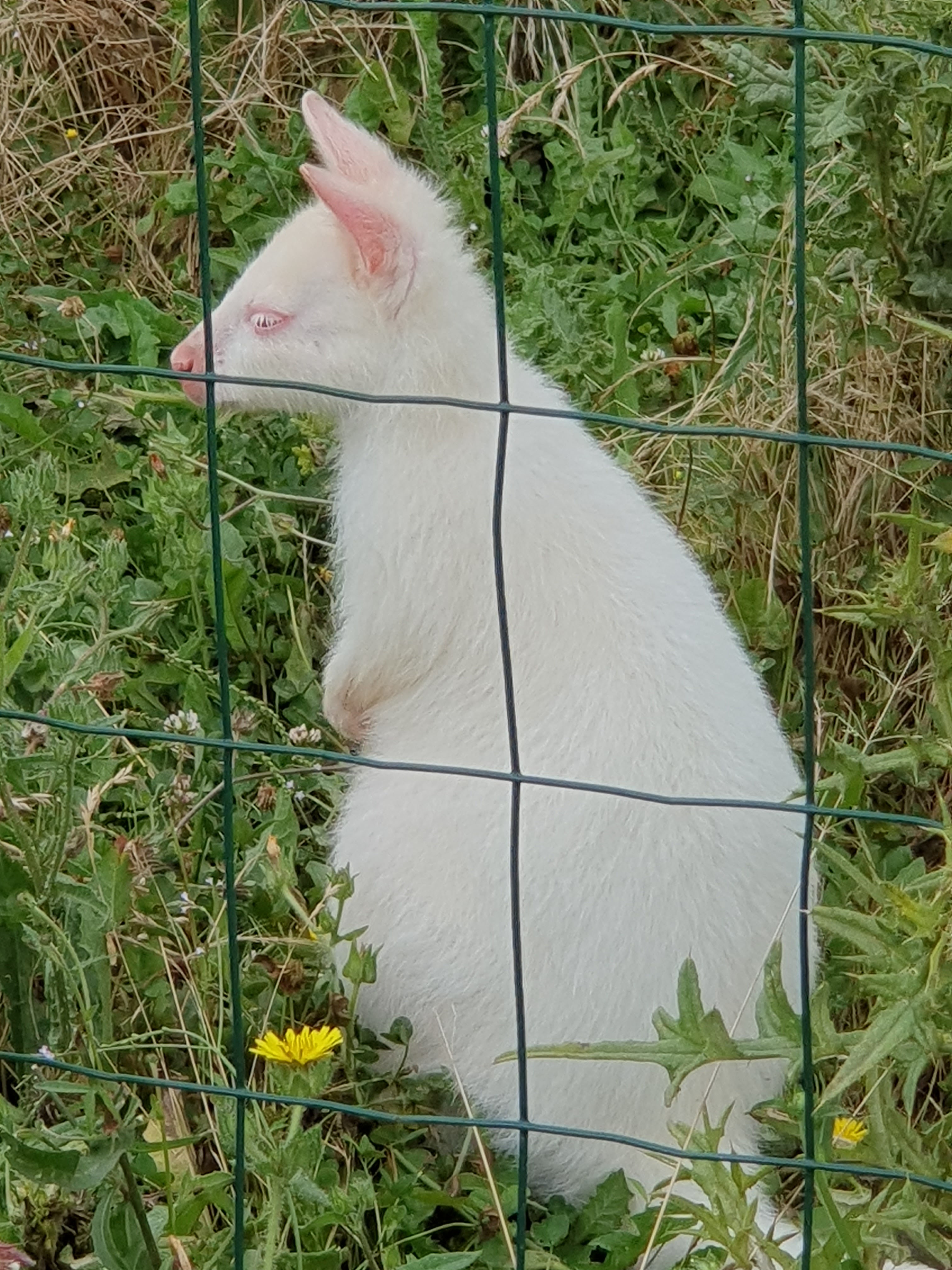 Photo n° 9 de l'avis de Emmanuelle.a fait le 05/08/2023 à 16:13