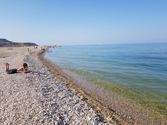 Dog Beach