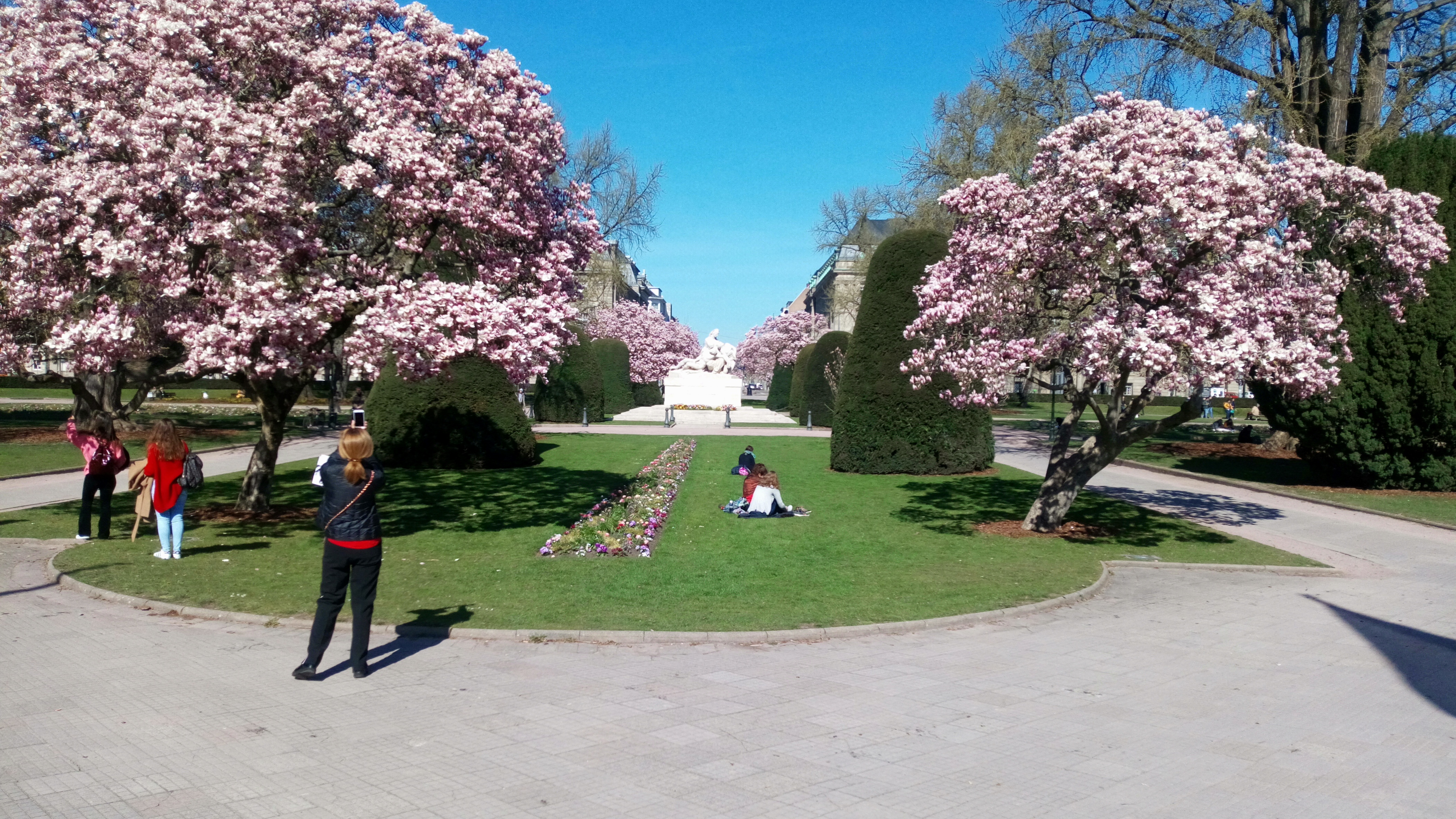 Photo n° 3 de l'avis de Jeff.e fait le 26/03/2019 à 17:15