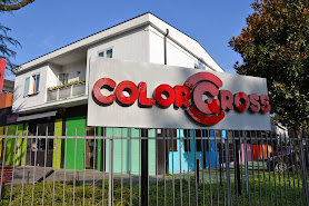 Colorgross - Colormarket