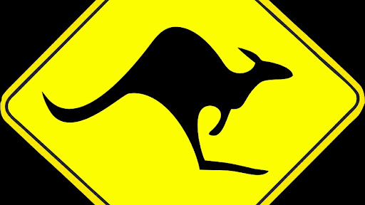 Kangaroo Impex
