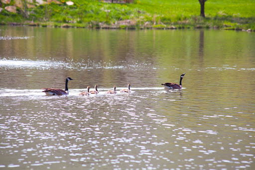 Event Venue «DeJoria Center», reviews and photos, 970 UT-32, Kamas, UT 84036, USA