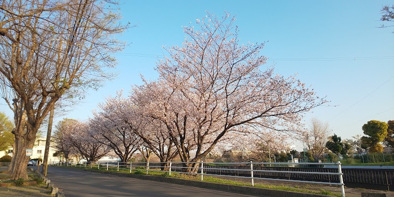 吉塚東公園