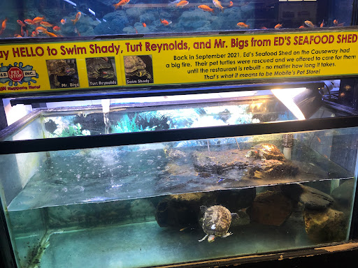 Pet Store «B & B Pet Stop, Inc.», reviews and photos, 5035 Cottage Hill Rd, Mobile, AL 36609, USA