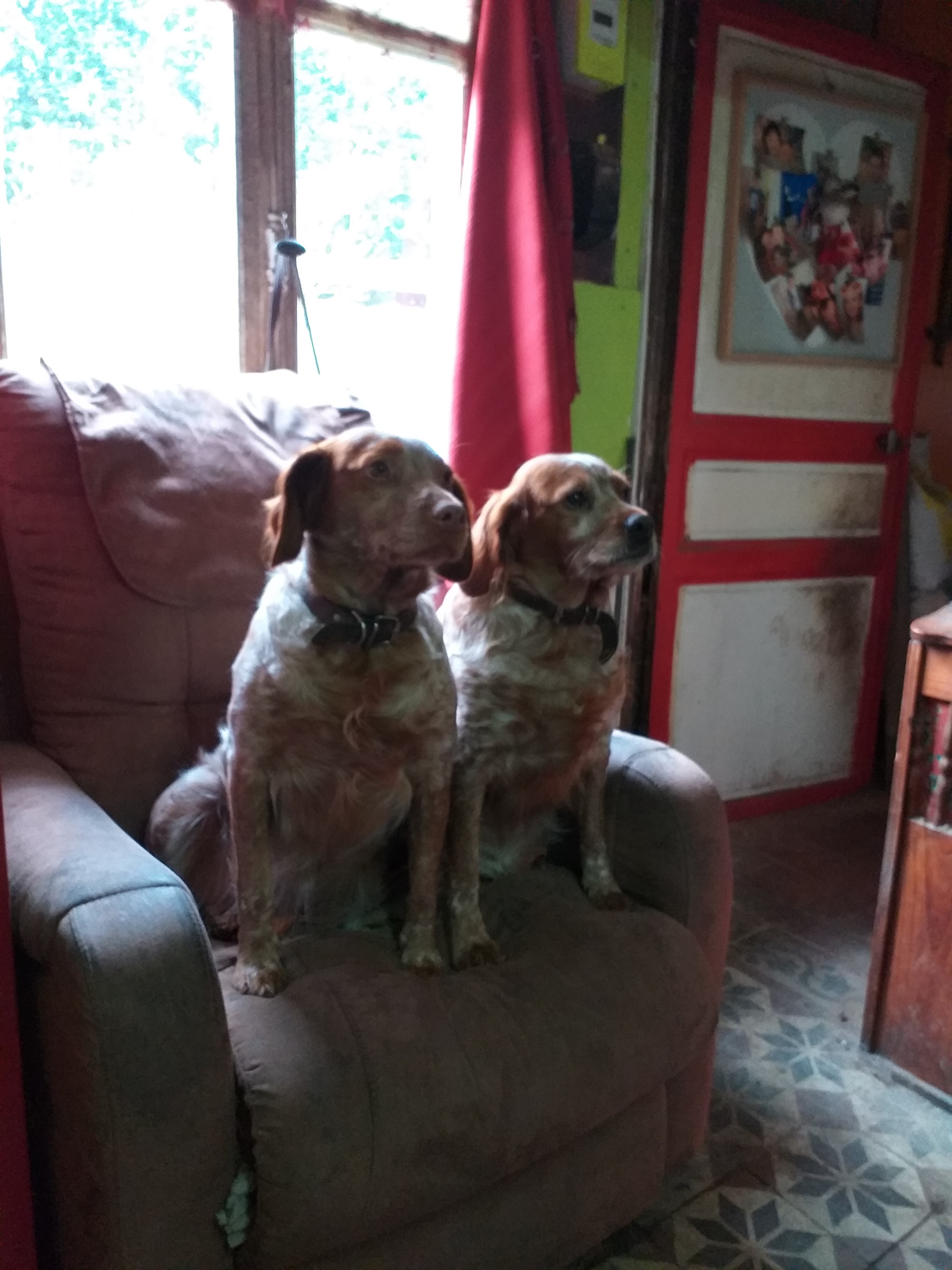 Photo n° 1 de l'avis de jean.a fait le 18/02/2020 à 20:54