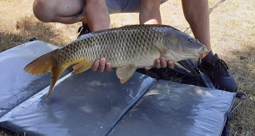 Photo n° 1 de l'avis de Marie.A fait le 12/06/2022 à 15:20