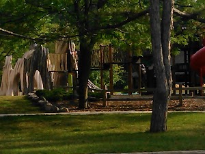 Pearson Metropark - photo 53