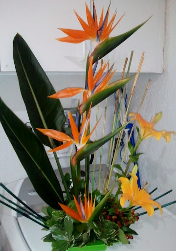 Florist «Seasons Flowers of South Beach», reviews and photos, 1526 Alton Rd, Miami Beach, FL 33139, USA