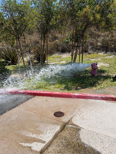 Moving Company «Camelot Moving & Storage», reviews and photos, 28040 Industry Dr, Valencia, CA 91355, USA