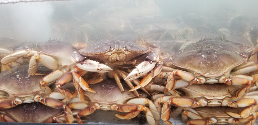 Supermarket «Island Pacific Seafood Market», reviews and photos, 19387 Soledad Canyon Rd, Santa Clarita, CA 91351, USA