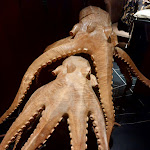 Photo n°7 de l'avis de Francesca.a fait le 03/09/2023 à 09:53 sur le  FOLLIS - Restaurant & American Bar à Fiumicino