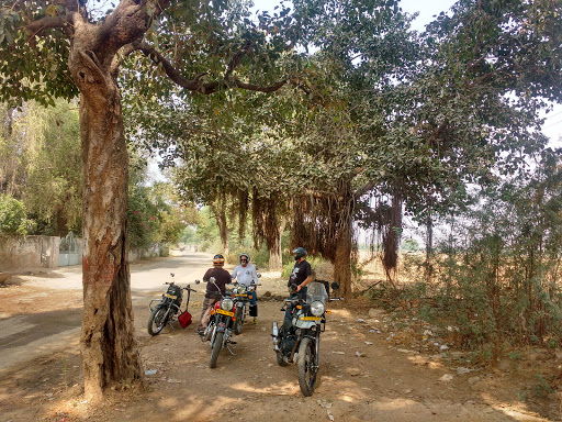 Le Tour De India