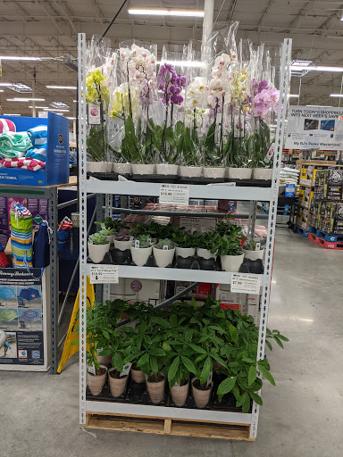 Warehouse club «BJ’s Wholesale Club», reviews and photos, 331 Newnan Crossing Bypass, Newnan, GA 30263, USA