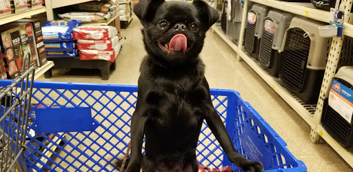 Pet Supply Store «PetSmart», reviews and photos, 4485 24th Ave, Fort Gratiot Twp, MI 48059, USA