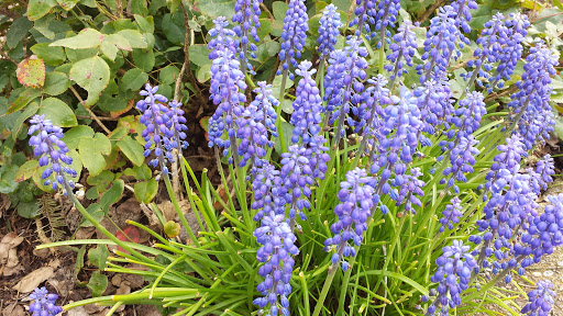 Forestry Service «Hopkins Demonstration Forest», reviews and photos, 16750 S Brockway Rd, Oregon City, OR 97045, USA