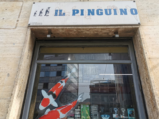 Il Pinguino