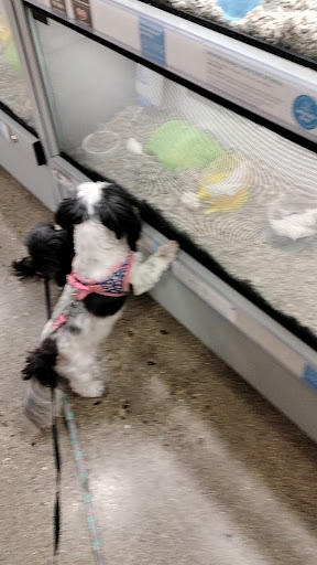 Shopping Mall «Town & Country Shopping Center», reviews and photos, 300 E Stroop Rd, Dayton, OH 45429, USA