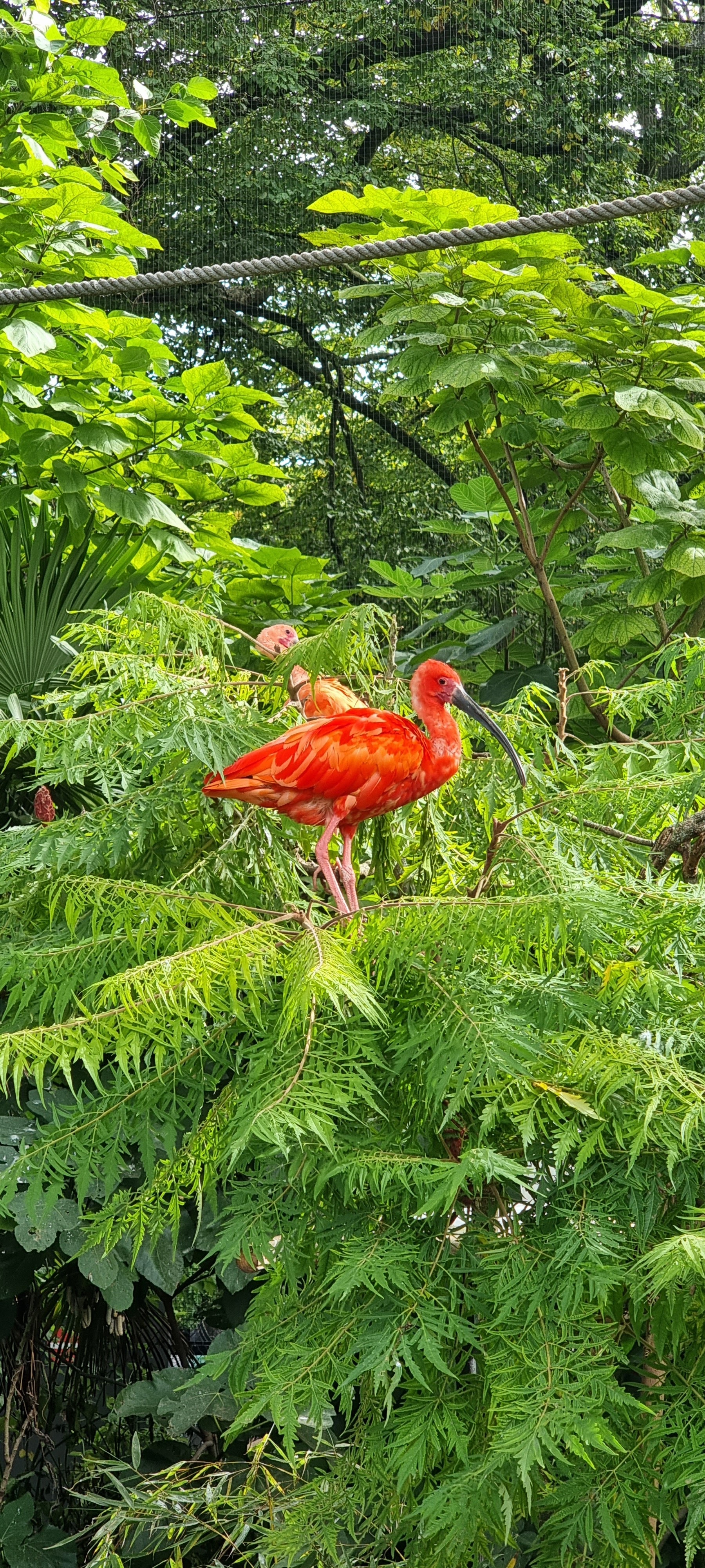 Photo n° 4 de l'avis de Fabien.a fait le 29/09/2022 à 11:23