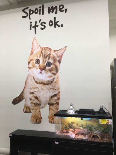 Pet Supply Store «Pet Supplies Plus», reviews and photos, 2223 Concord Pike, Wilmington, DE 19803, USA