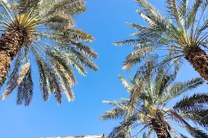 Kebun Kurma Abu Faisal image
