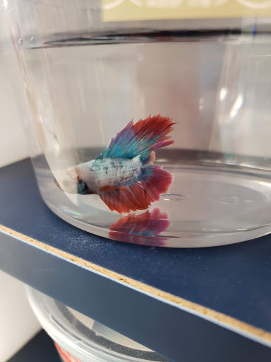 Pet Supply Store «Petco Animal Supplies», reviews and photos, 1337 N National Rd, Columbus, IN 47201, USA