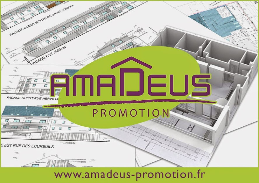 AMADEUS PROMOTION à Nantes (Loire-Atlantique 44)