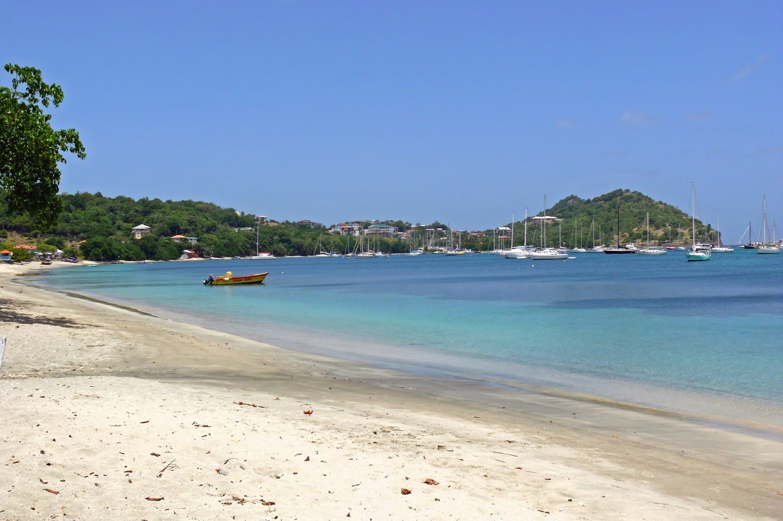 Photo of Tyrell Bay beach with bright sand surface