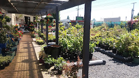 Matau Garden Centre