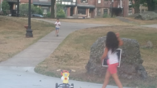 Park «Horatio Harris Park», reviews and photos, 85 Harold St, Boston, MA 02119, USA