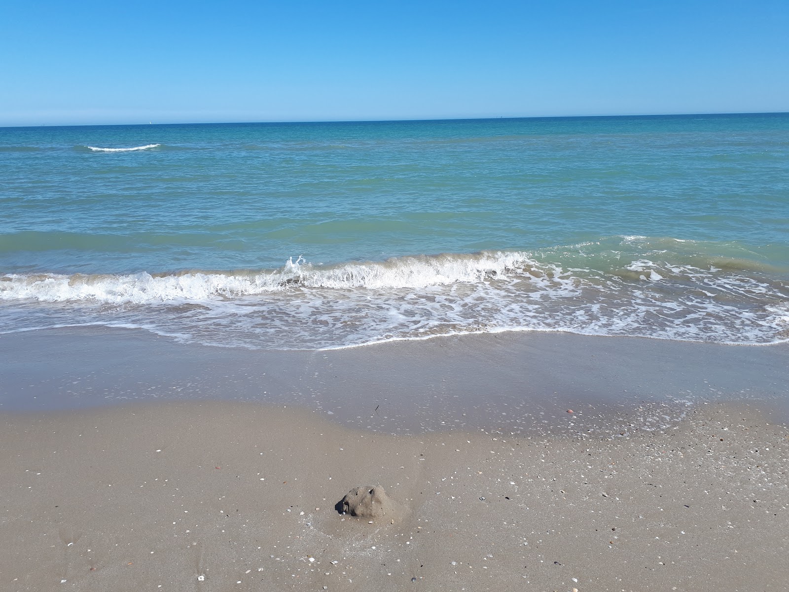 Foto van Spiaggia Libera Riccione strandresortgebied