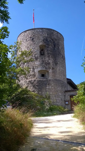 Heimatmuseum Alt-Falkenstein - Grenchen