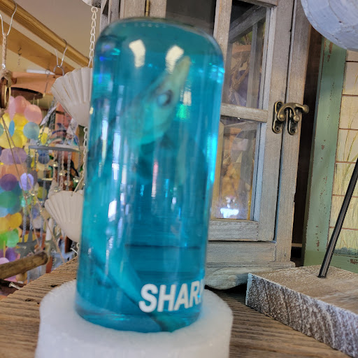 Gift Shop «Sea Shell Shoppe», reviews and photos, 120 N Austin St, Rockport, TX 78382, USA