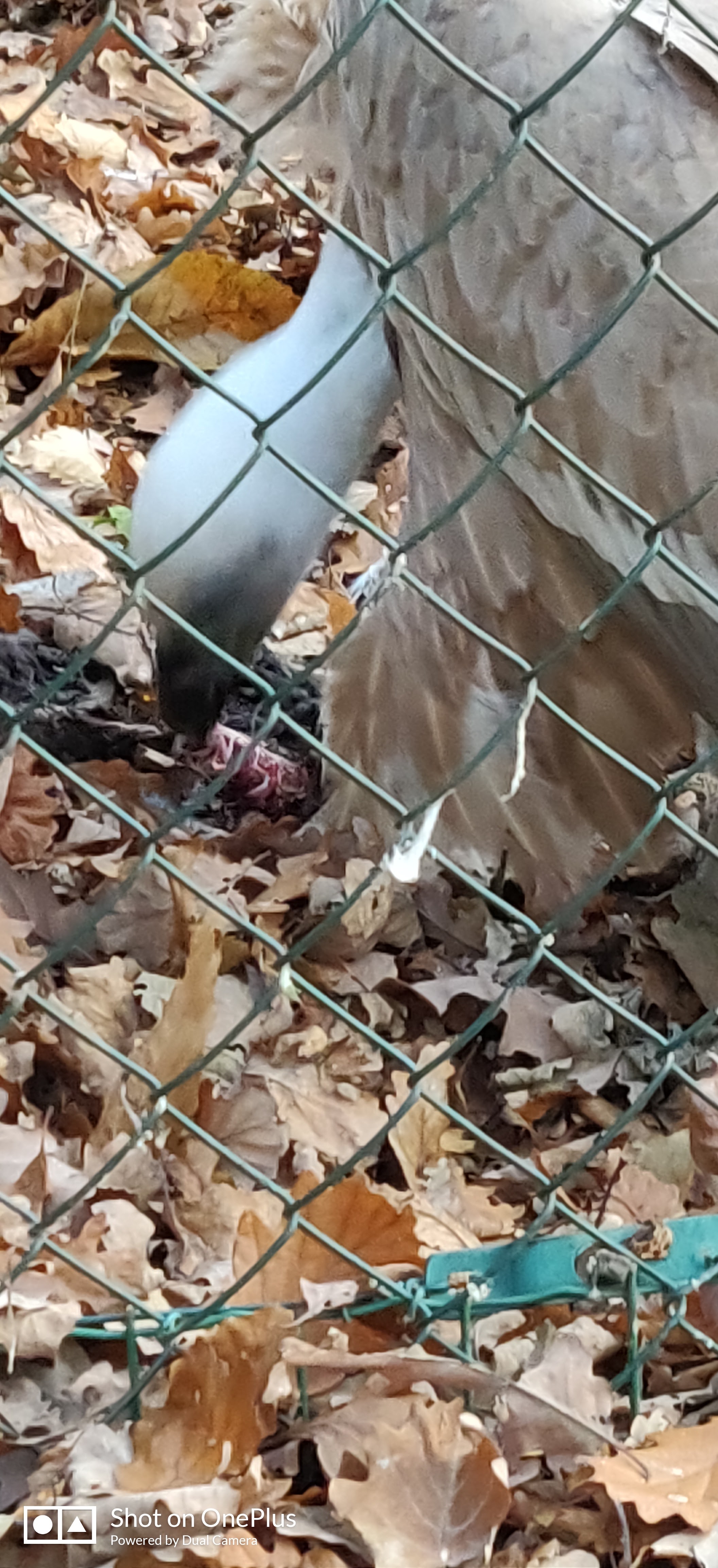 Photo n° 13 de l'avis de Jean-marc.e fait le 01/11/2022 à 19:36