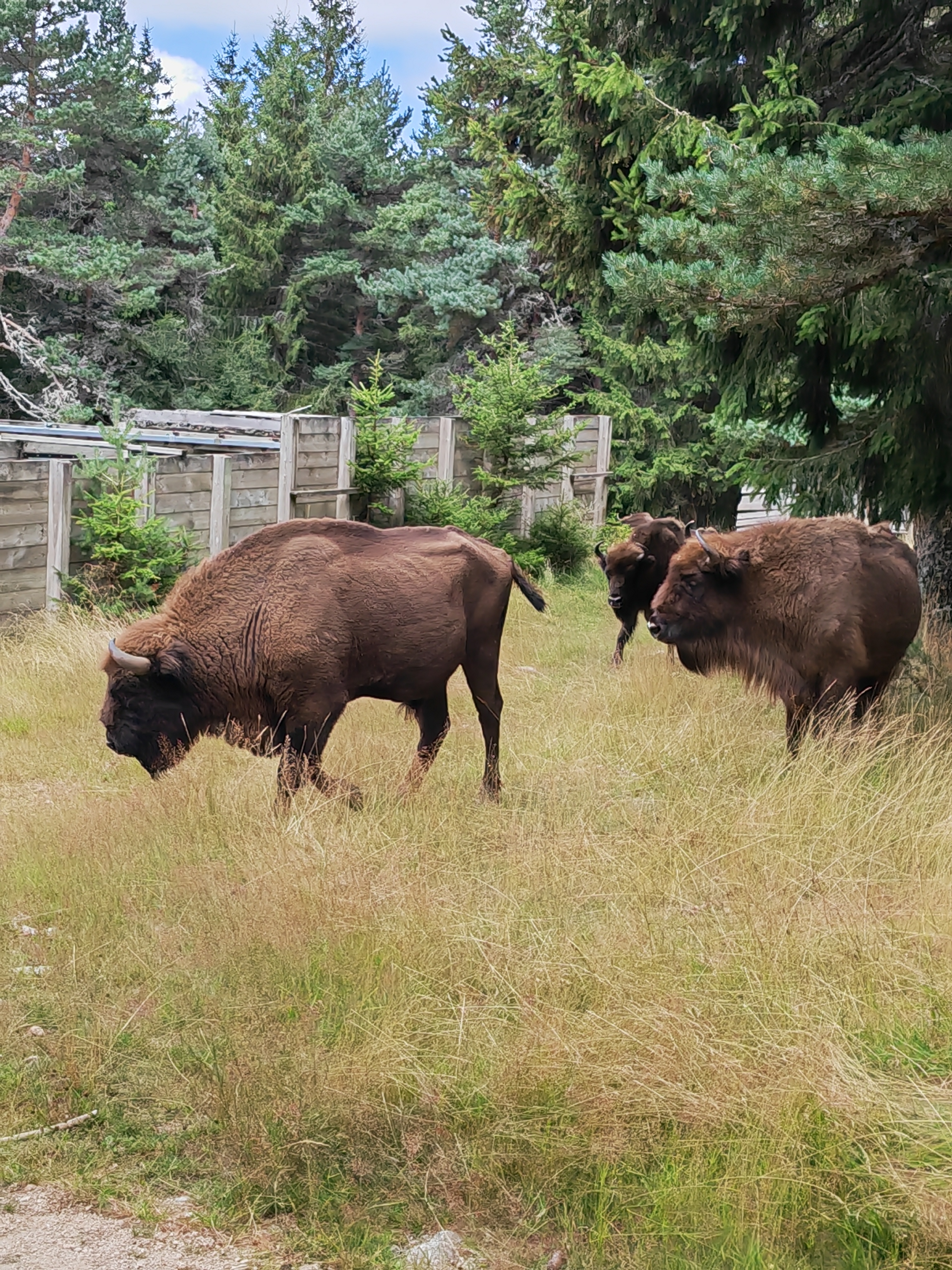 Photo n° 5 de l'avis de Isabelle.a fait le 06/08/2023 à 12:14