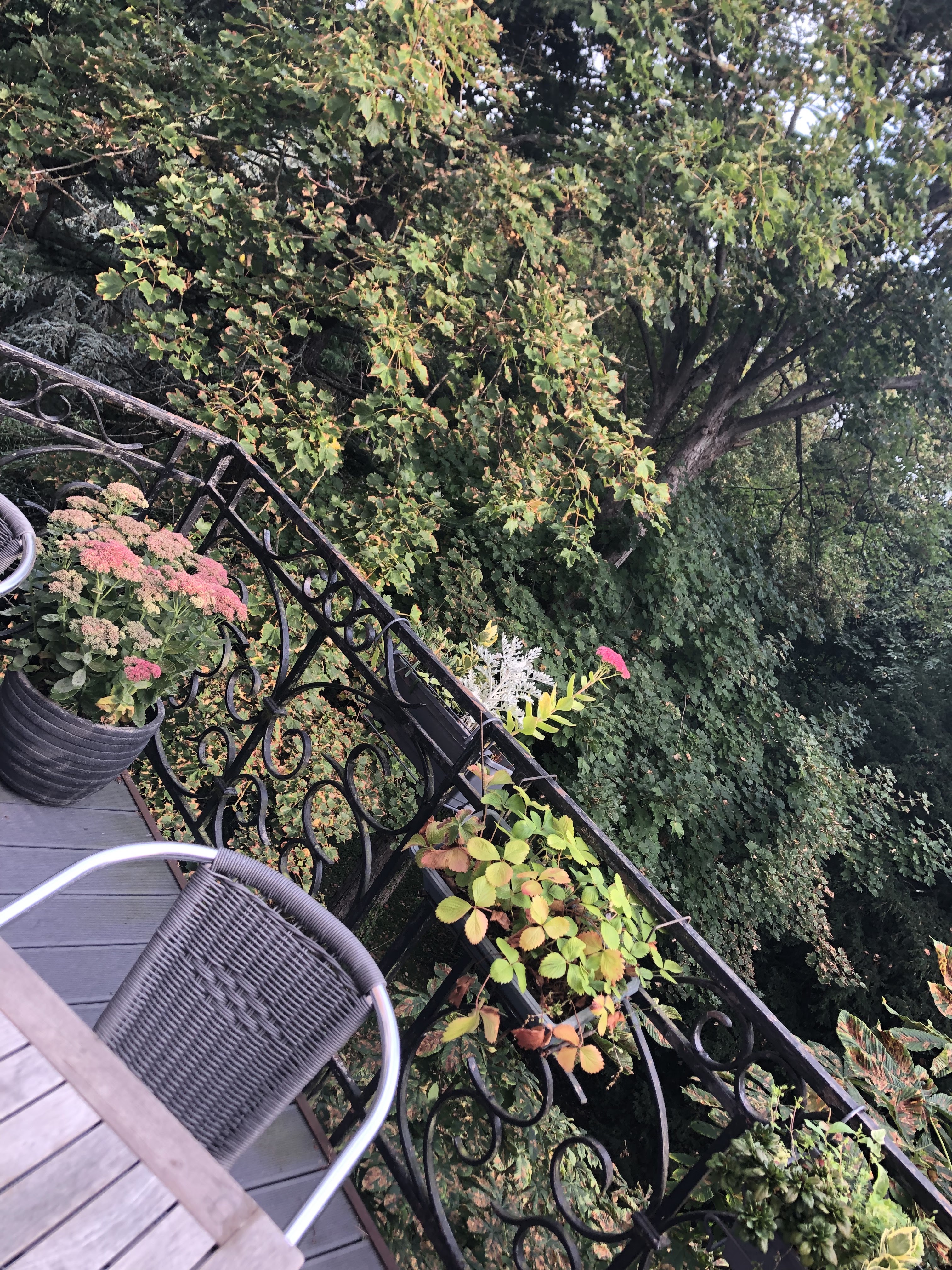 Photo n° 2 de l'avis de Marie.h fait le 13/09/2021 à 22:01