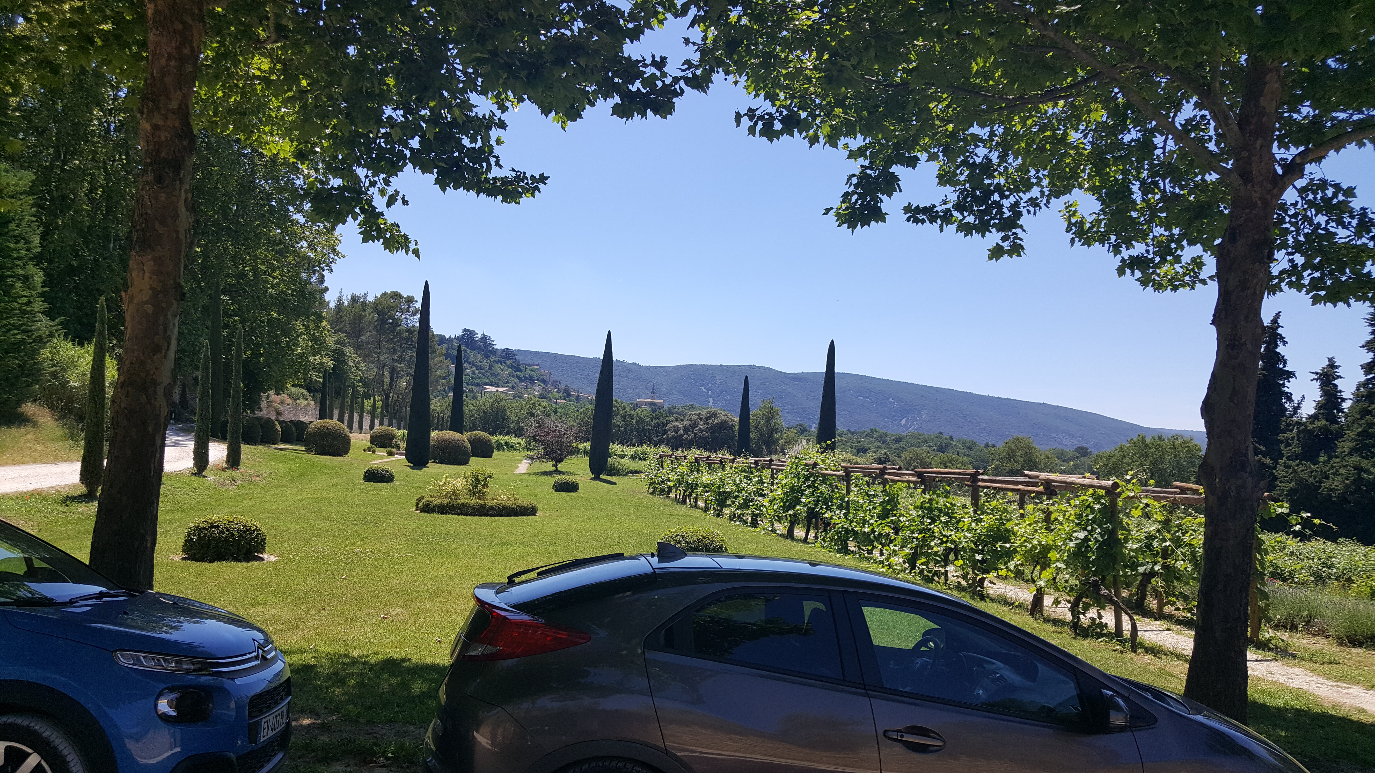Photo n° 3 de l'avis de dodo.o fait le 27/06/2018 à 13:21