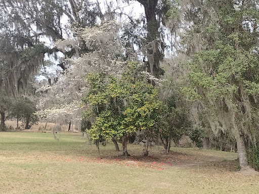 National Forest «Francis Marion National Forest», reviews and photos, 2967 Steed Creek Rd, Huger, SC 29450, USA