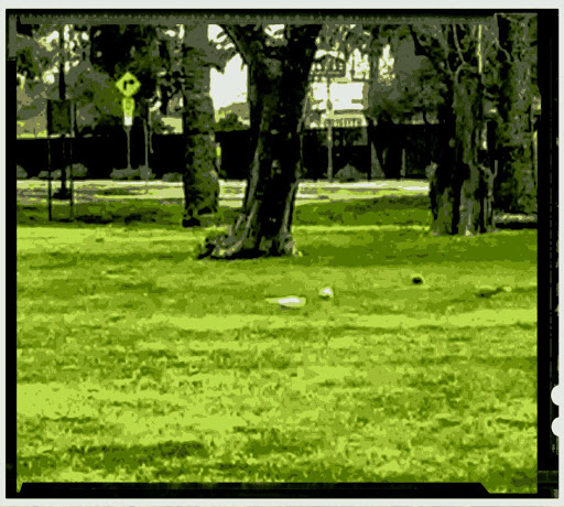 Park «Pierce Park», reviews and photos, 2150 N 46th St, Phoenix, AZ 85008, USA