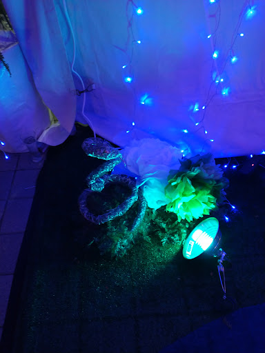 Human Resource Consulting «FrankCrum», reviews and photos